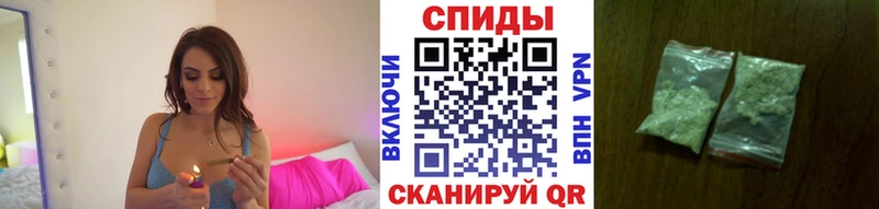 мориарти телеграм Сретенск Бутират буратино