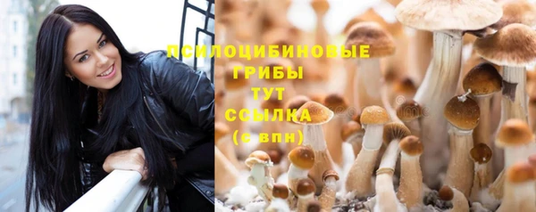 герыч Верхний Тагил