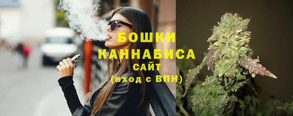 гашик Бородино