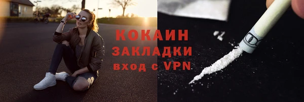 гашик Корсаков