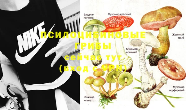 гашик Бородино