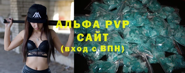 гашик Бородино