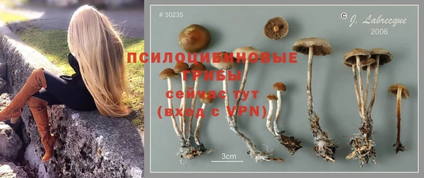 прущая мука Козельск