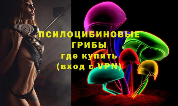 первитин Коряжма